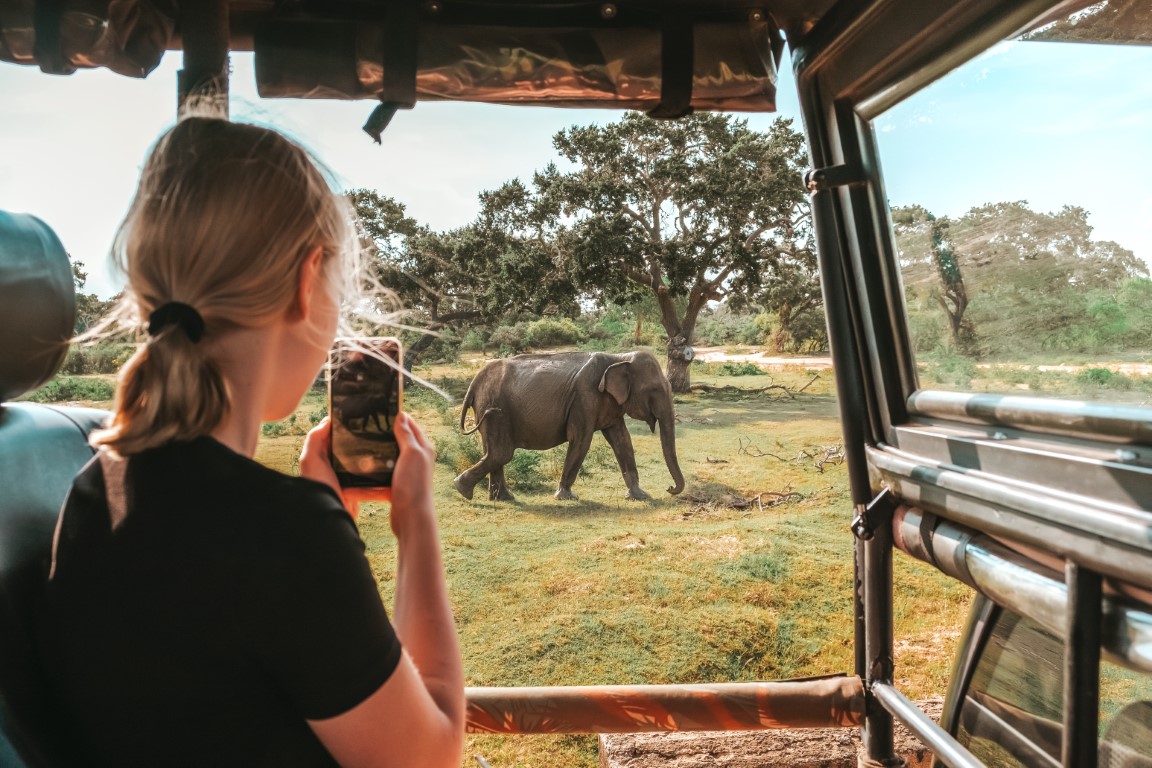 Sri Holiday Tours Activities