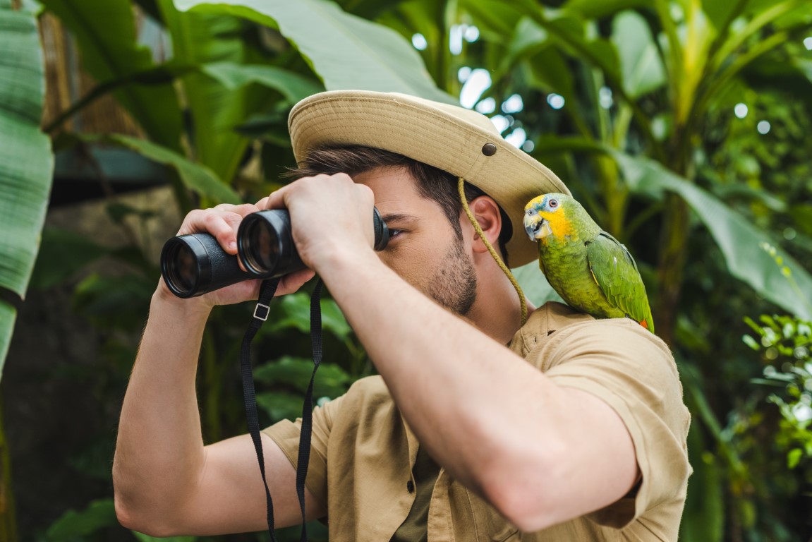 Sri Holiday Tours Activities
