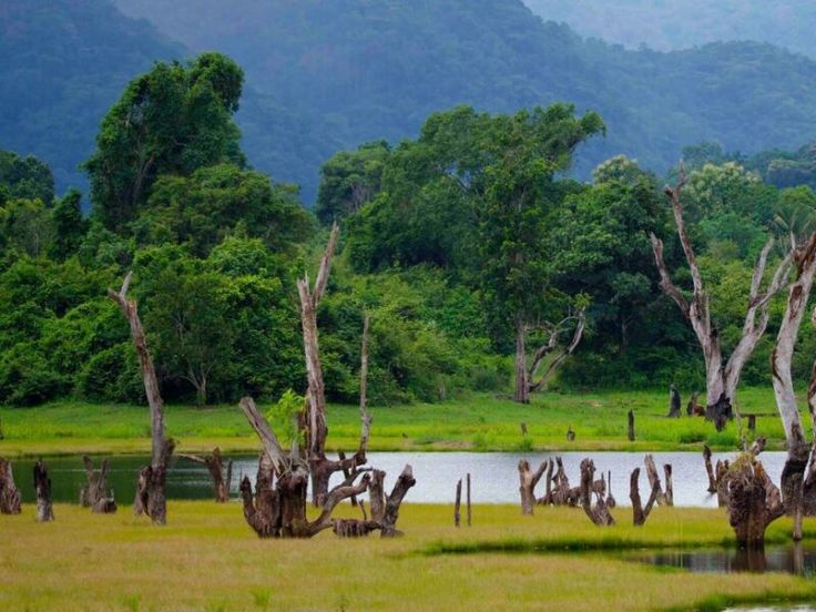 Sri Holiday Tours Activities