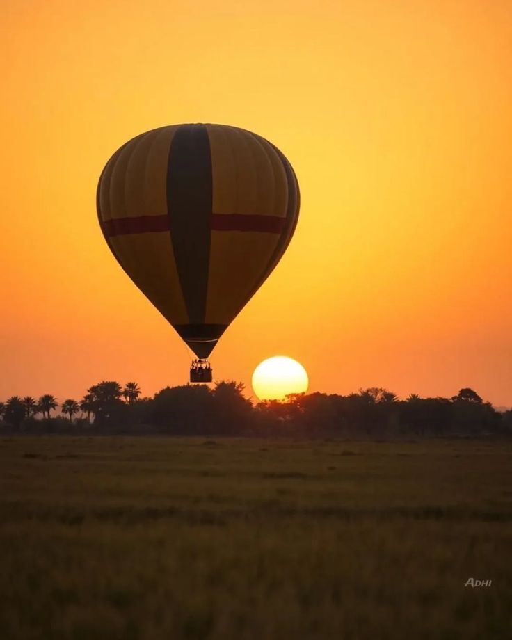 Sri Holiday Tours Activities